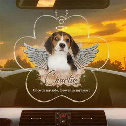 Custom Photo Your Memory Will Forever Brighten Our Days - Memorial Personalized Custom Car Ornament - Acrylic Custom Shaped - Sympathy Gift For Pet Owners, Pet Lovers -Pawfect House Sale 65f0283eb3d1e