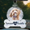 Custom Photo Goodbyes Are Not Forever - Memorial Personalized Custom Car Ornament - Acrylic Custom Shaped - Sympathy Gift For Pet Owners, Pet Lovers