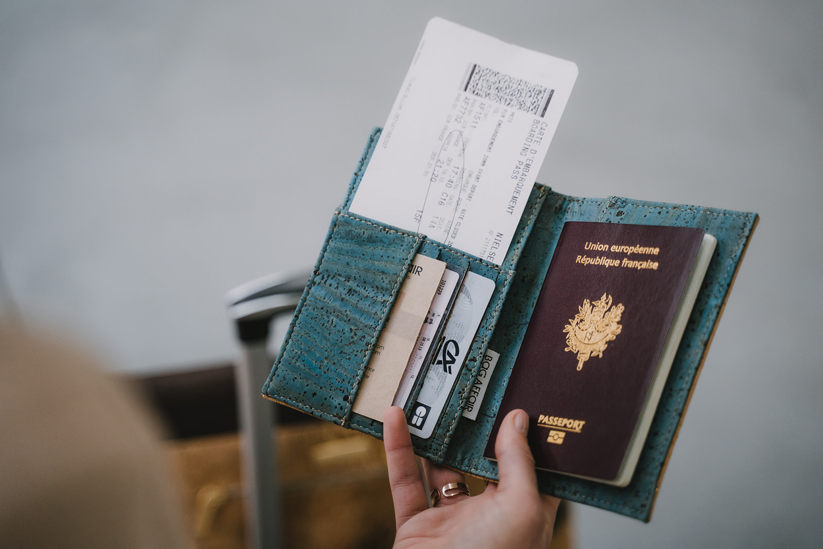 Pawfect House Sale -Pawfect House Sale Bag Affair Porte Passeport Cold Green passport cover